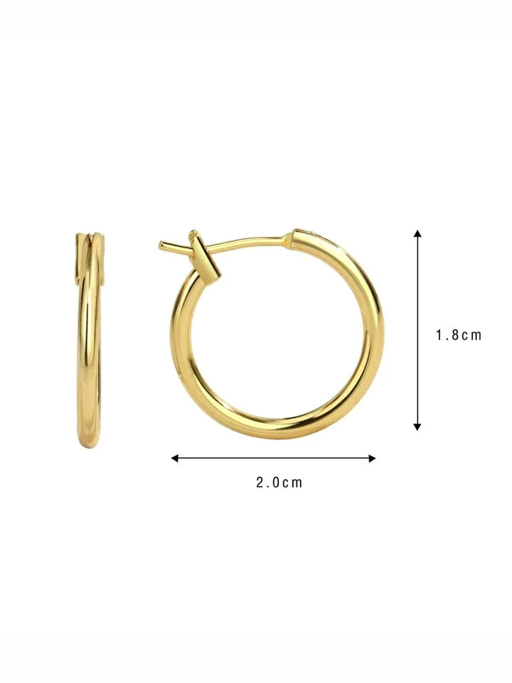 Everyday Hoop Earrings